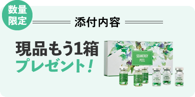 数量限定 添付内容 現品もう1箱プレゼント