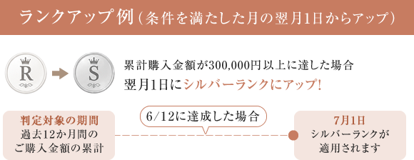 ランクアップ例