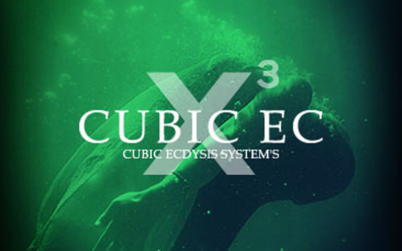 CUBIC EC 商品ラインナップ