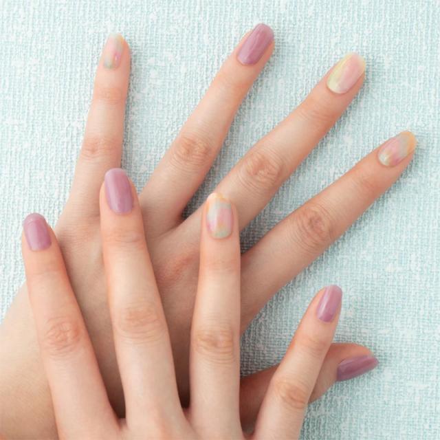 エッシーモ 全47種