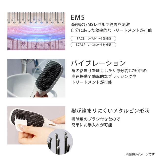 【CP】モウズ エレブラ 5+1