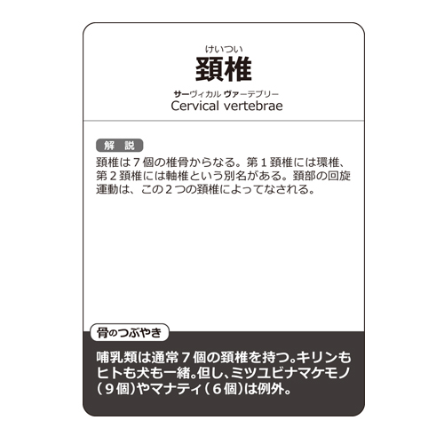 骨かるた