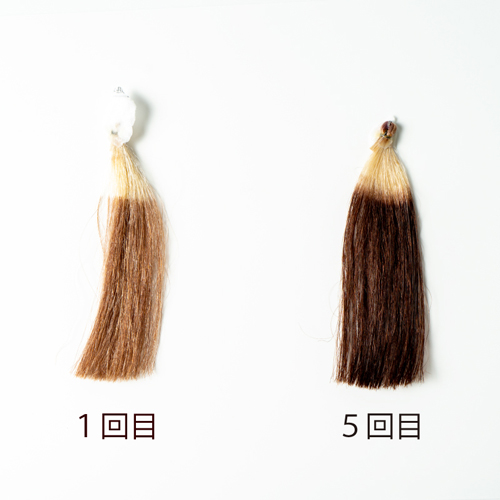 ヘアカラートリートメント 全2色