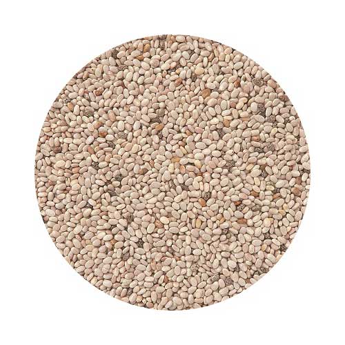 有機ホワイトチアシード 100g/300g