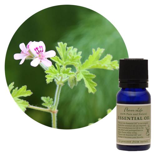フレーバーライフ エッセンシャルオイル ゼラニウム 10ml～