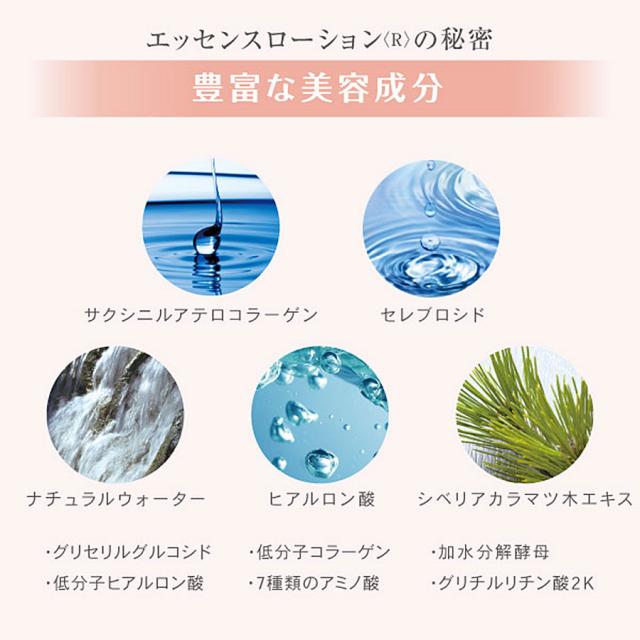 リポデルム エッセンスローション 500ml R/W