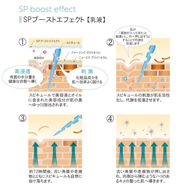 ラボプラス ADノーブル アルティメットセット WH