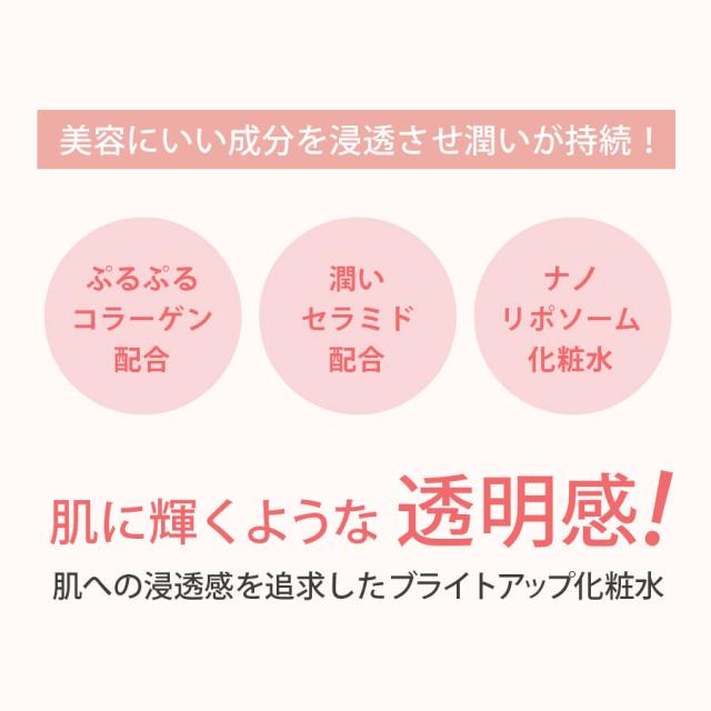 リポデルム エッセンスローション 500ml R/W
