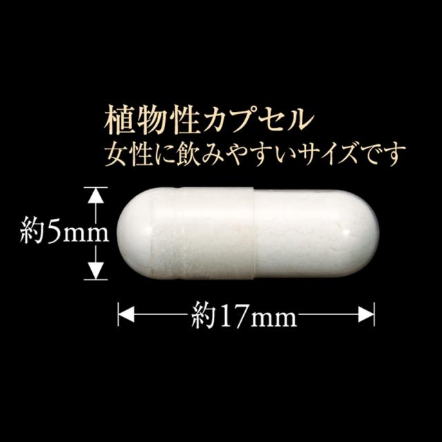 エステプロラボ プロトン グランプロ 10粒/60粒/販促