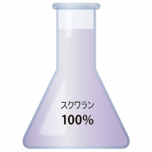 エクスピュール 全9種