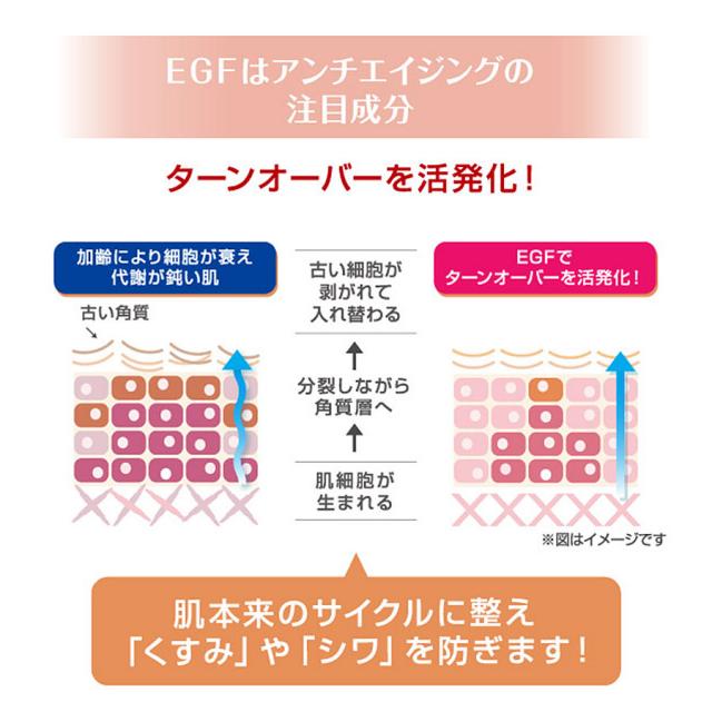 リポデルム ゴールデュアマスク 10包(1包2シート)