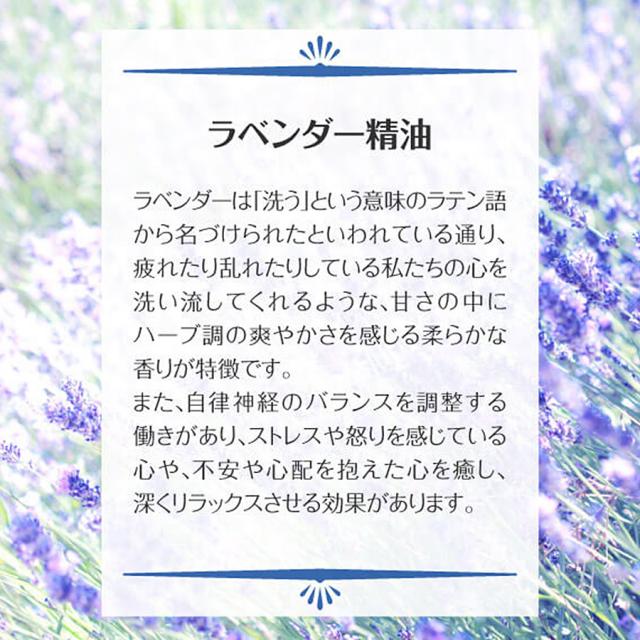 リポデルム デコレートパック 300g 全4種