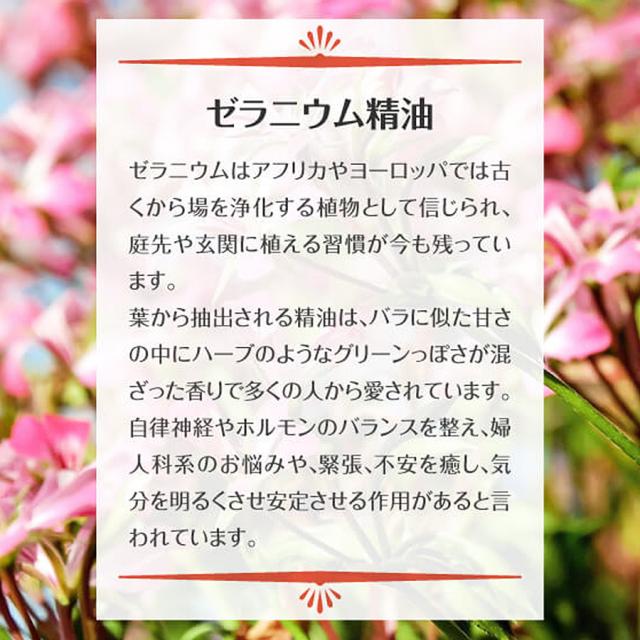 リポデルム デコレートパック 300g 全4種
