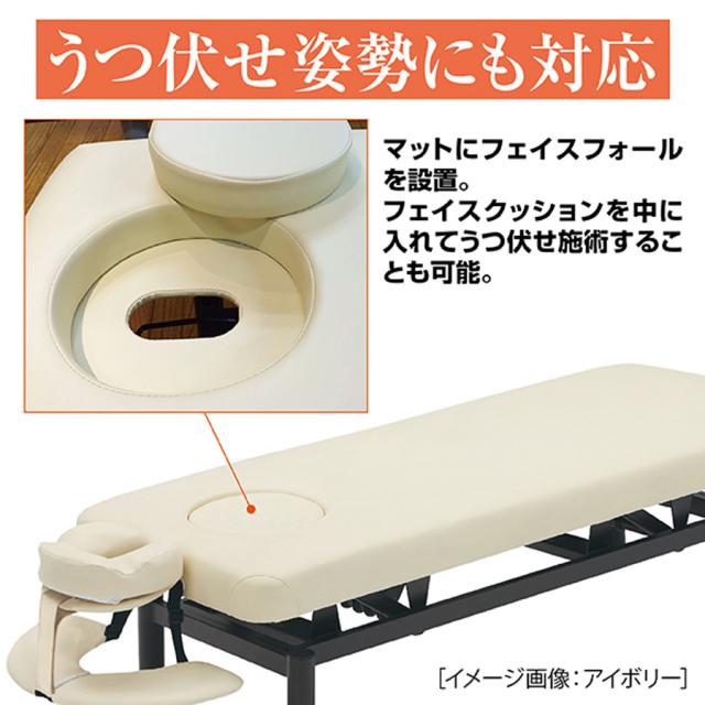 ハイロー リクライニングベッド FV-222R 全2色