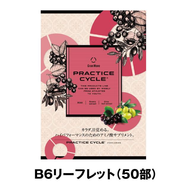 エステプロラボ プラクティスサイクル 20包/販促