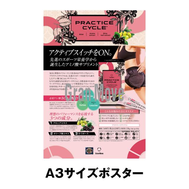 エステプロラボ プラクティスサイクル 20包/販促