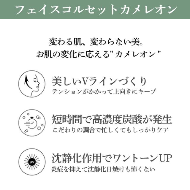 メディシュティーク フェイスコルセット カメレオン 10包 1個/12個