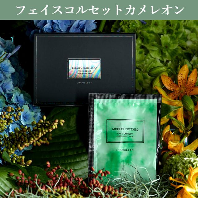 メディシュティーク 初回導入アソートセット