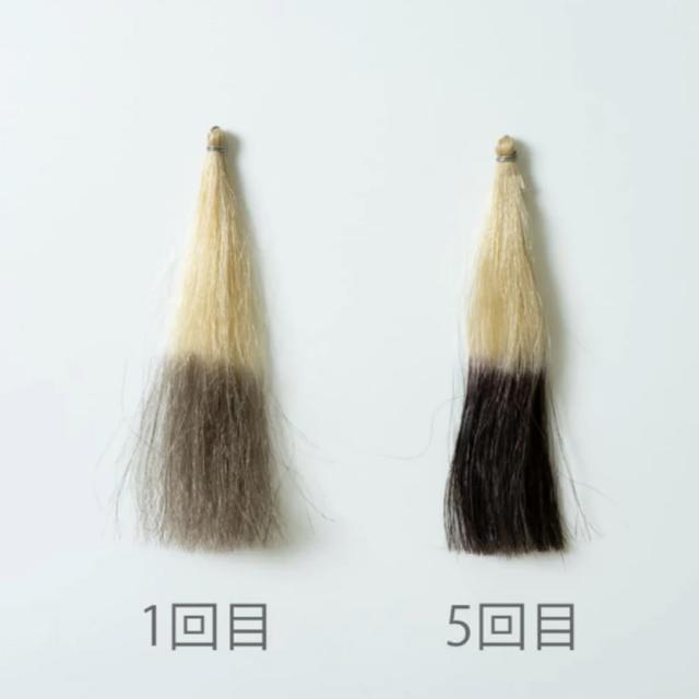 ヘアカラートリートメント 全2色