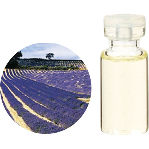 <生活の木>エッセンシャルオイル 有機ラベンダーフランス 10ml