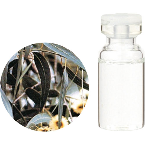 エッセンシャルオイル 有機ユーカリ･グロブルズ 10ml