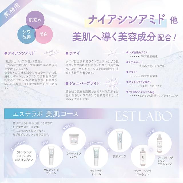 エステラボ 美肌パック 300g
