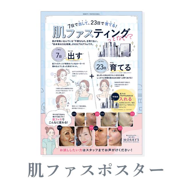 モリーズ プロ 販促物 ポスター/パンフレット
