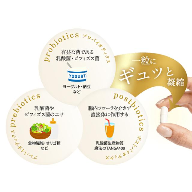 魔法のTANSA 517 90粒