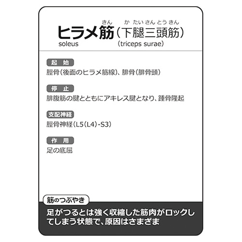 筋肉かるた