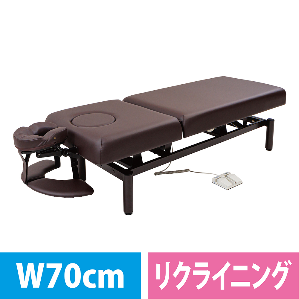 ネチュラ 電動リクライニング FV-223R 各色/各サイズ