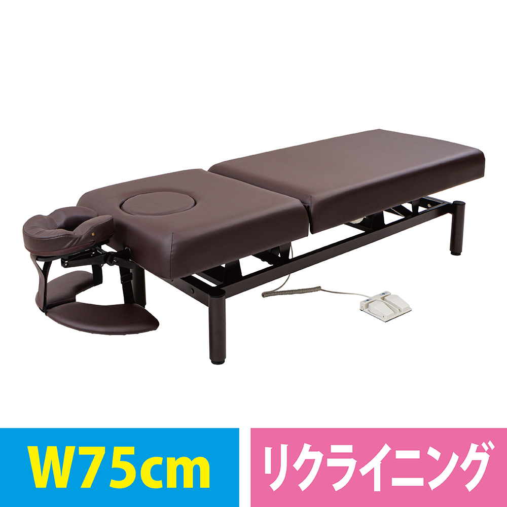 ネチュラ 電動リクライニング FV-223R 各色/各サイズ
