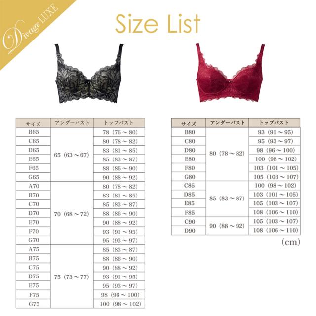 ディヴァージュ リュクス ブラジャー 全2色 A～G