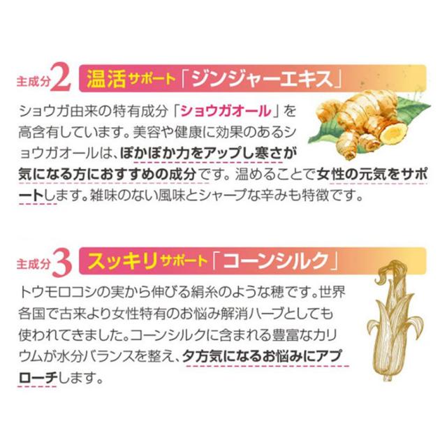 ビーマックス ジンジャー エミ ゼリー 20包