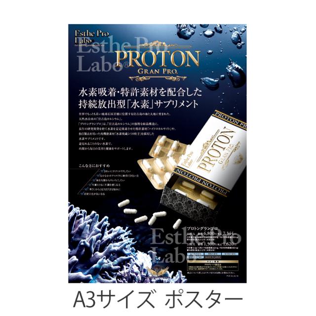 エステプロラボ プロトン グランプロ 10粒/60粒/販促