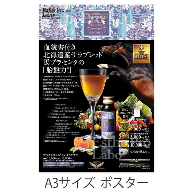 エステプロラボ プラエンザイム EX グランプロ 50m×10本/販促