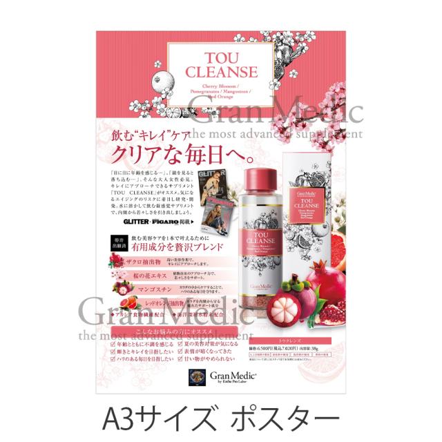 エステプロラボ グランメディック トウクレンズ 38g/販促