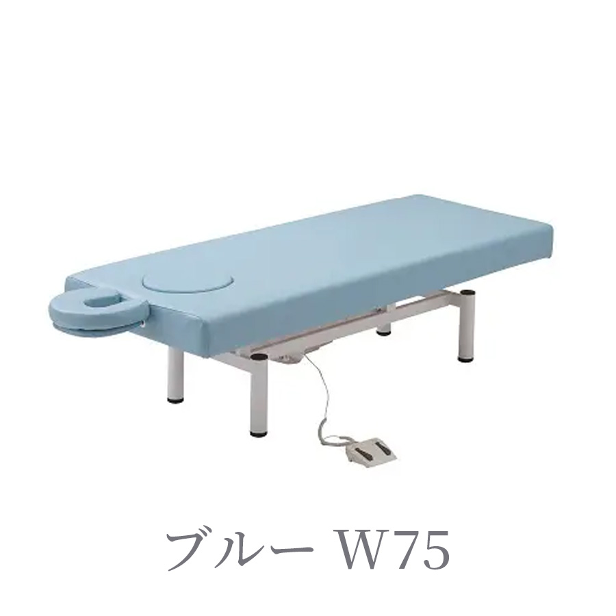 電動昇降BASICベッドDX FV-216(エクステンション対応) 全2色/各サイズ