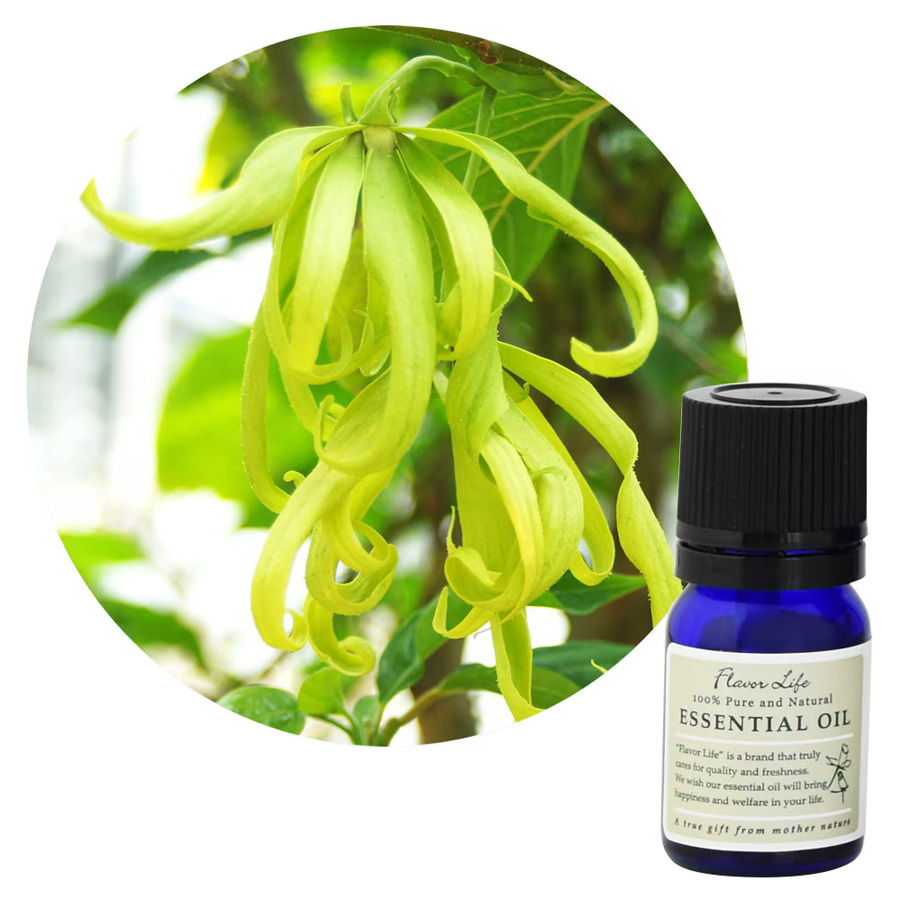 フレーバーライフ エッセンシャルオイル イランイラン エクストラ 3ml/10ml