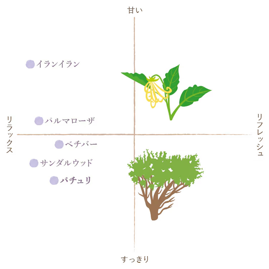 クイーンメリー オーガニックエッセンシャルオイル パチュリ 5ml