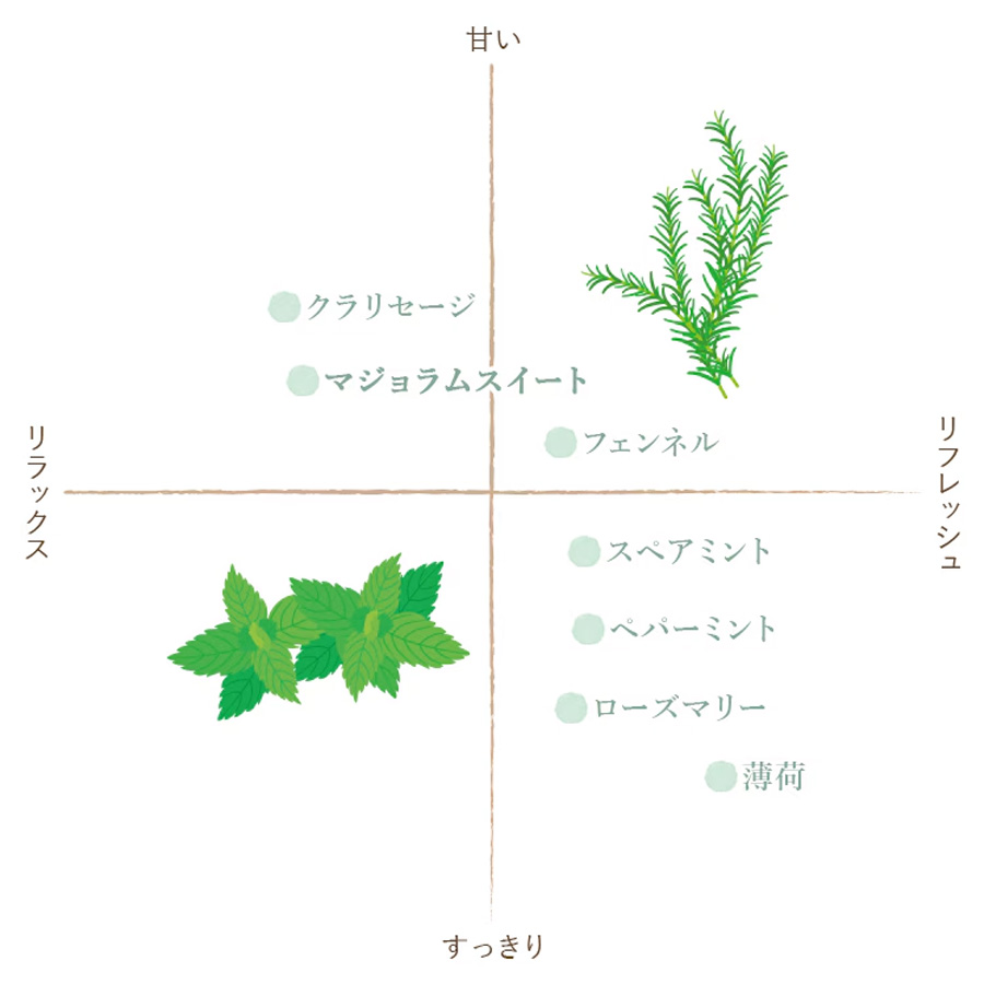 クイーンメリー オーガニックエッセンシャルオイル マジョラムスイート 5ml