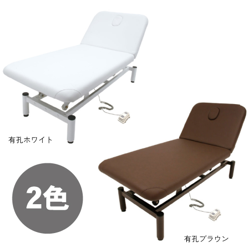 電動昇降リクライニングベッド (有孔) 全2色