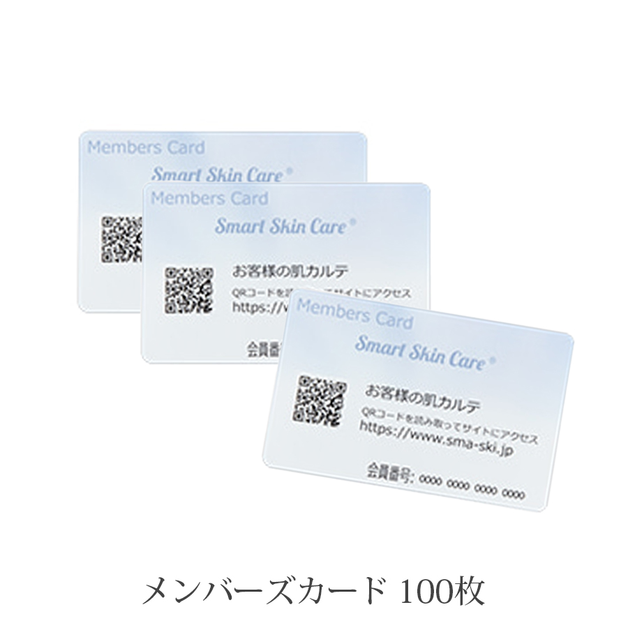 スマートスキンケア 本体/備品