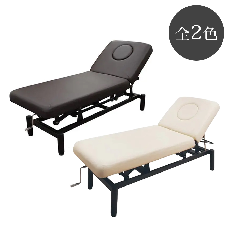 ハイロー リクライニングベッド FV-222R 全2色