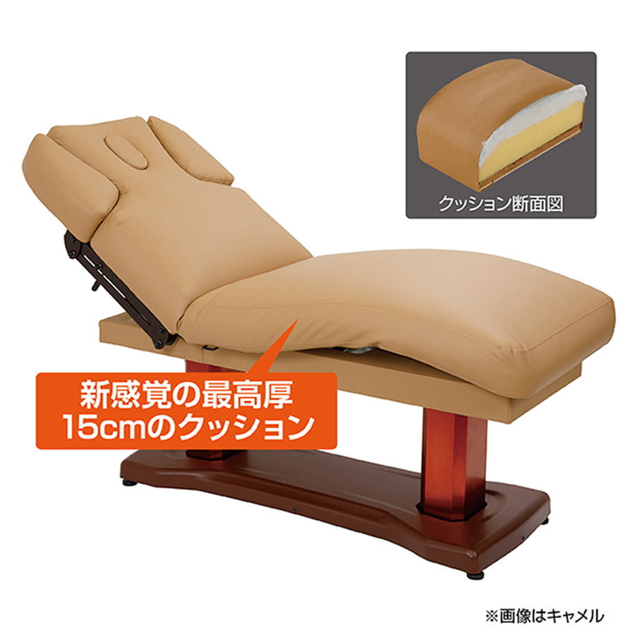 バルカデラックス 電動エステベッド FV-715 全2色