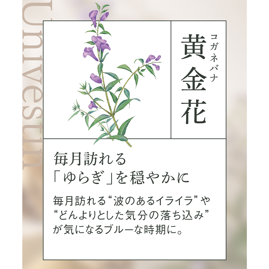 タントリュクス ツキヨミ 60粒