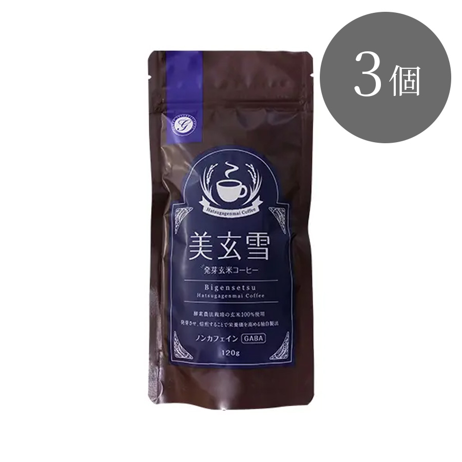 ファストザイム 美玄雪 発芽玄米コーヒー 120g 1個/3個