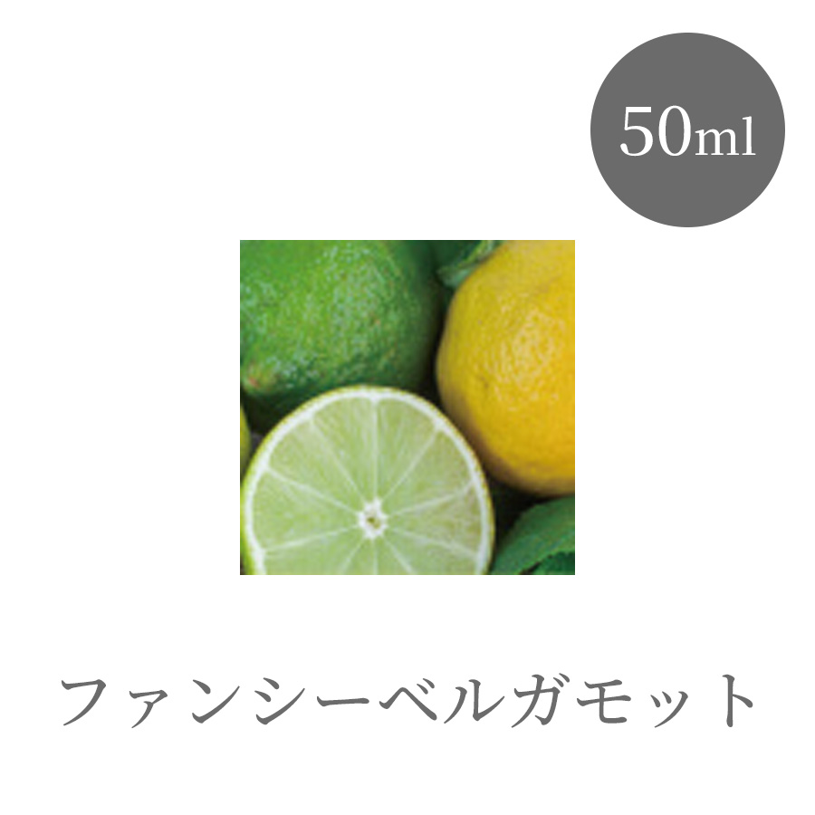 アロミック・エアー 専用オイルブレンド 全10種 50ml/50ml×2