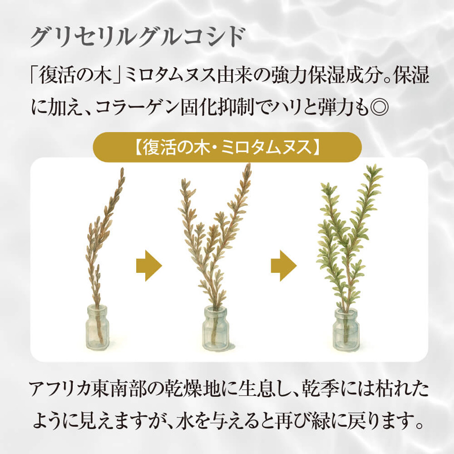 ヴィースキンラボ NAローション 150ml