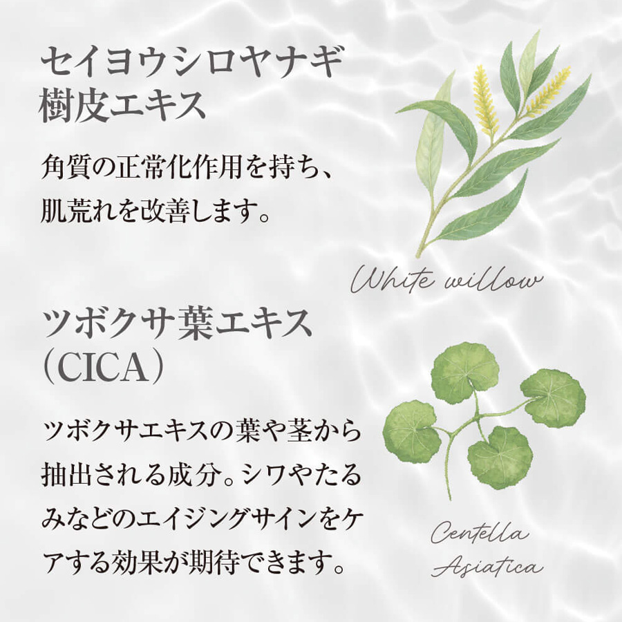 ヴィースキンラボ NAクリーム 50g