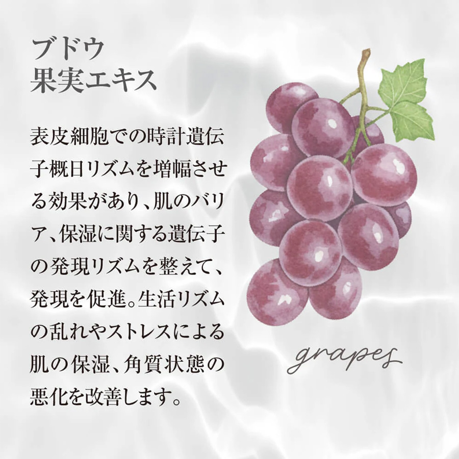 ヴィースキンラボ NAクリーム 50g